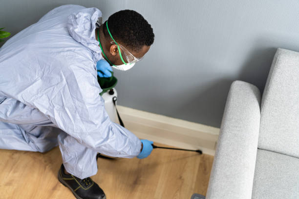 Best Pest Exclusion Services  in Soldotna, AK